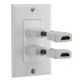 Click here to buy HDMI Wall Plate, Dual Port by eforcity.