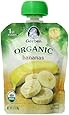 Gerber Purees 1st Foods Organic Pouch Bananas, 3.17 Ounce (Pack of 12)