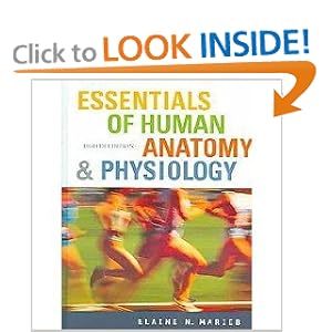 Essentials Of Human Anatomy