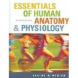 Essentials Human Anatomy Physi