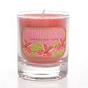 Pacifica Hawaiian Ruby Guava 3 oz Soy Candle Glass