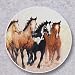 Kitchen & Housewares : Wild Horses, Stepping Out Auto Coaster, Single Coaster for Your Car