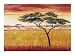 Serengeti Dawn by Emilie Gerard - Fine Art Print / Poster - 32.00 x 24.00