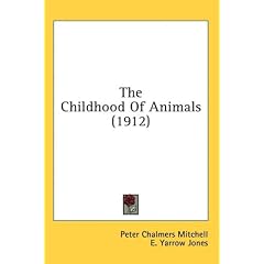 The Childhood of Animals (1912)