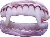 TEETH VAMPIRE