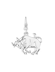 Sterling Silver TAURUS Charm