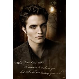 Twilight New Moon Movie Poster – Edward Quote 36"x24" Art Print Poster