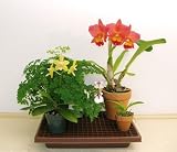 HT-101 H-2 1/4' x L-13 1/2' x W-10 1/2'