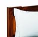 Dust Mite and Allergen Proof Pillow Encasing (Cover); Barrier II (Queen)