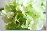 人工観葉 ヴェントハイドレンジアライトグリーン造花かわいい雑貨