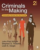 Criminals in the Making: Criminality Across the Life Course