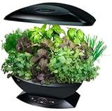 Indoor Garden Aerogarden Classic With Gourmet Herb Seed Kit