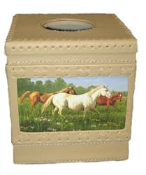 Horse Prairie Meadow Western Tissue Kleenex Box Cover Bathroom