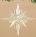 Winter's Beauty Gold Glittered Moravian Star Christmas Ornament