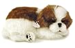 Perfect Petzzz Shih Tzu