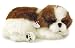 Perfect Petzzz Shih Tzu
