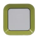 Striped Rim Salad Plate - Green (M)