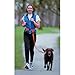 The Buddy System Hands Free Dog Leash, Adjustable Leash for Running, Jogging, Training and Service Dogs, Great for Small, Medium and Large Dogs, Made in USA (Black, Small Dog System (Large Belt))