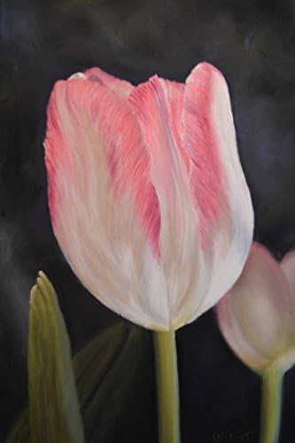 Pink Tulip Original Pastel Painting