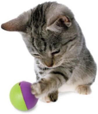 Go Cat Go Play-n-treat Ball Treat Dispenser Pet Cat Kitten Toy Food Dispensing