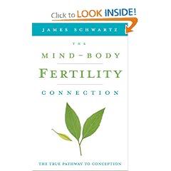 The Mind-Body Fertility Connection: The True Pathway to Conception