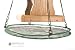 Seed Hoop 16 In