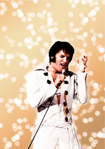 Elvis 75th Anniversary DVD Collection (17 Films including Elvis on Tour / Jailhouse Rock / Viva Las Vegas / It Happened at the World's Fair and This Is Elvis) image