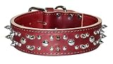 1 3/4 Rg Spiked & Studded Latigo Cir