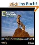 National Geographic Wildlife 2010. Fotokalender