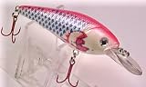 41fMZcHaCUL. SL160  L 5 Injured Shad Custom Lure   Bass Fishing Plug Crankbait Diver