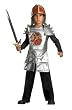 Kids Dragon Knight Costume