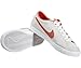 Nike Men's Zoom All Court Ck Skate Shoe