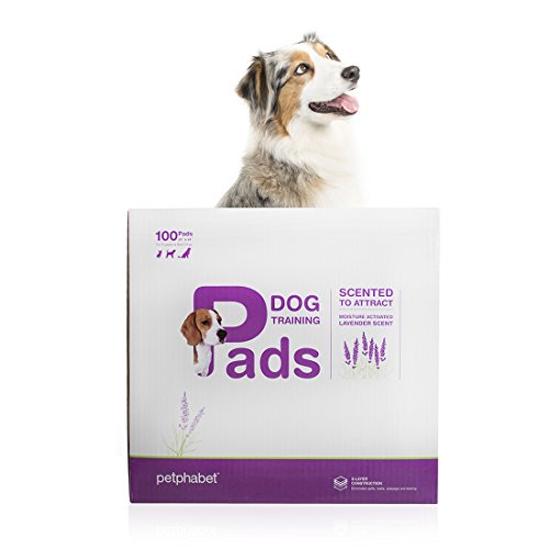 Dog Puppy Absorbent Pee Pads Scented House Training Deodorizer Large