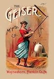 12 X 18 Stretched Canvas Poster Geiser