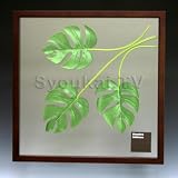 F-style ���[�t�p�l���EMonstera deliciosa �����X�e���@�f���V�I�T�@525x525x30mm