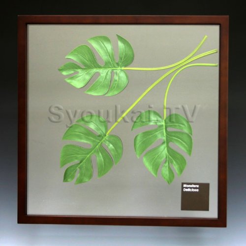 F-style リーフパネル・Monstera deliciosa モンステラ　デリシオサ　525x525x30mm