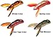Crawler 50 - Red Tiger Craw