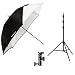 Westcott 2332 43-Inch Collapsible Umbrella Flash Kit