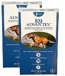4 MONTH K 9 ADVANTIX Blue (for dogs over 55lbs.)
