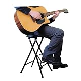 Farley'sStagePlayer2GuitarStandStoolwithFootRest