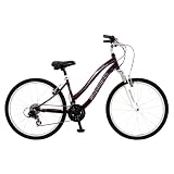 -Schwinn 26