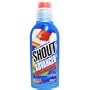 Shout Laundry Stain Remover Gel - 8.7 oz/Can, 12 Cans / Case, Single Case