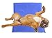 Select Companion SelectPRESS Pressure Activated Cooling Pet Bed,  16 x 10.5-Inch