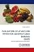 EVALUATION OF A VACUUM FRYER FOR JACKFRUIT AND BANANA CHIPS: machine performance evaluation