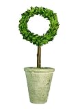 Preserved Boxwood Round Wreath Topiary 15"