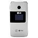 LG AX275 Prepaid Phone (Personalized Prepaid- Pick Your Plan: Per/Minute Per/Day Per/Month) *Required Alltel Service in Your Area