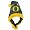 Oregon Ducks