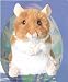 Plush Brushy Hamster 5