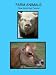 Farm Animals...Close Up and Very Personal