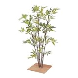 �y�l�H�A���z�~�j���|80cm